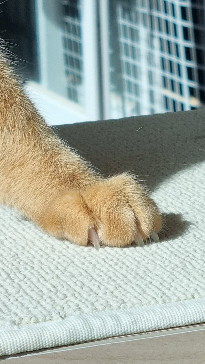 note465450's tweet image. #일상계트친소 #독서계트친소
느리게 읽고 가끔 쓰는 한량 일상 대공개°•○
책 읽고 공부도 하고 카페도 가고°° 천천히 내 속도대로 살고 있는 예비 대학생을 탐라에 두세요 🥹.. 수제 트윗 잘 굽읍니다