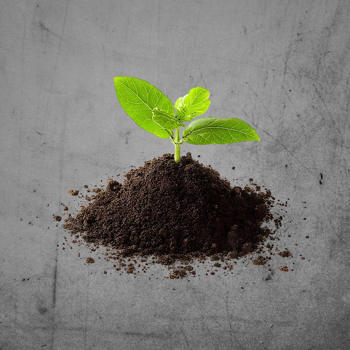 Fred Christensen tweet media