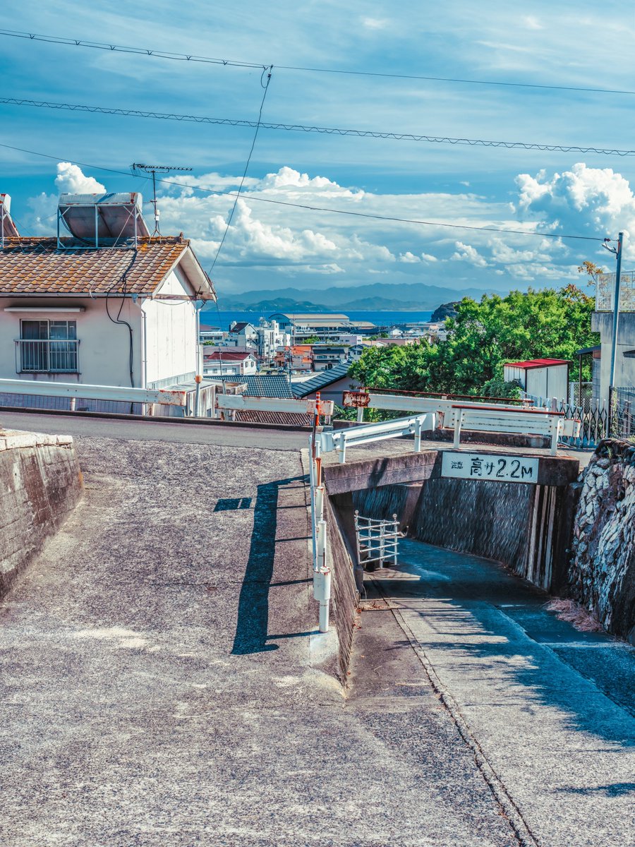 めかぶ tweet media