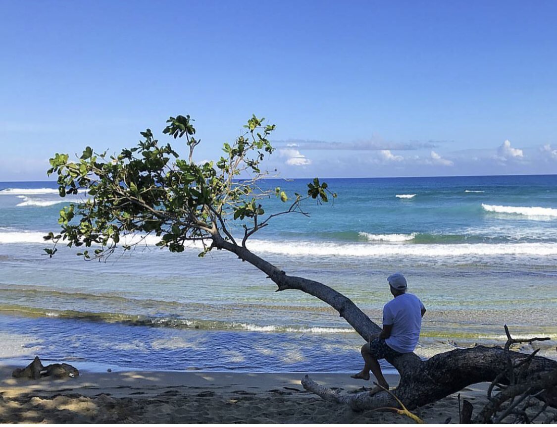 And I wanna be there

I wanna go back down and die beside the sea there

With a tin cup for a chalice, fill it up with good red wine

And I'm a chewin' on a honeysuckle vine