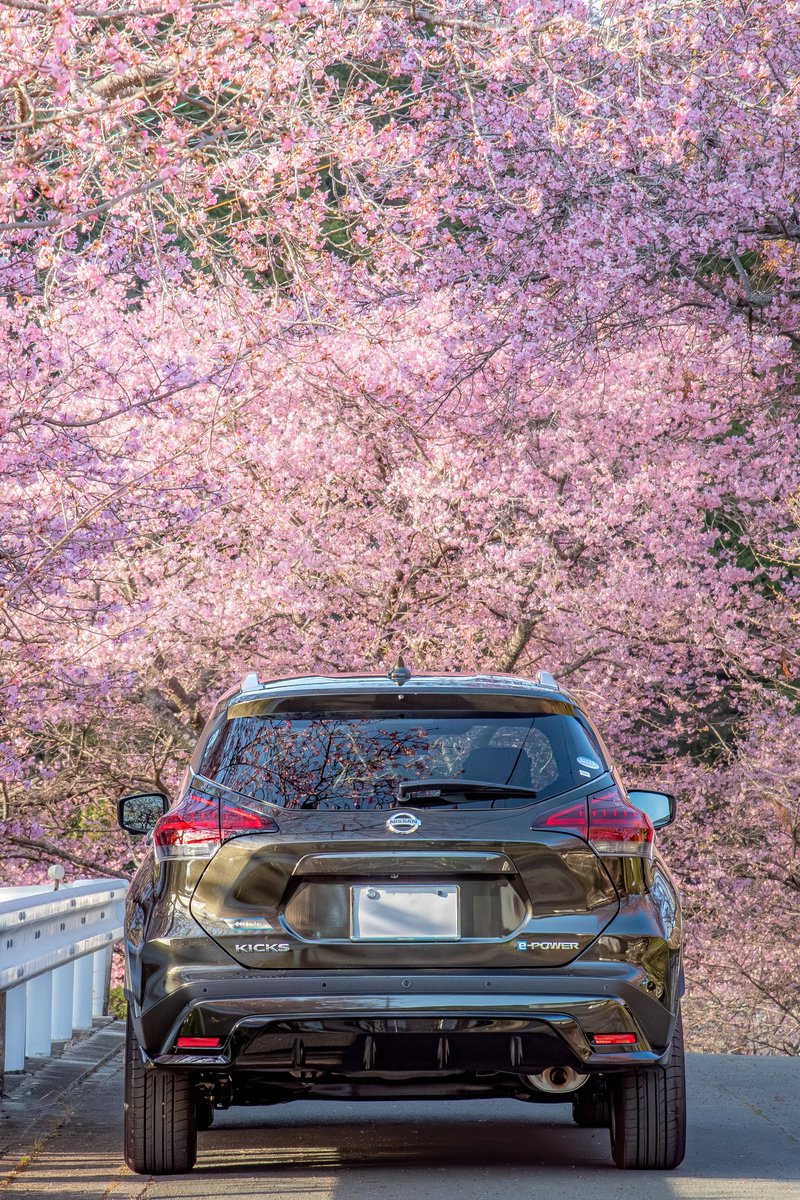 みつさん@ZX636G☄️ (@setsuna_mitsu) / Posts / X