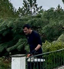 Luís Ribeiro tweet media