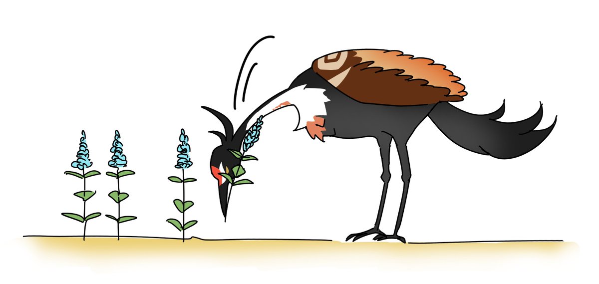 きなこ ✿ 3/20 西3D01ab tweet media