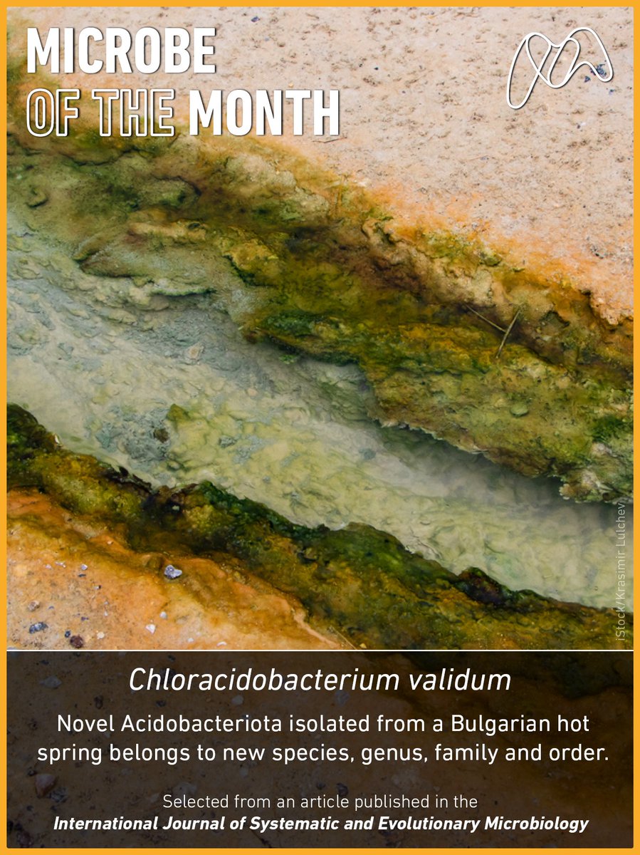 Microbiology Society tweet media