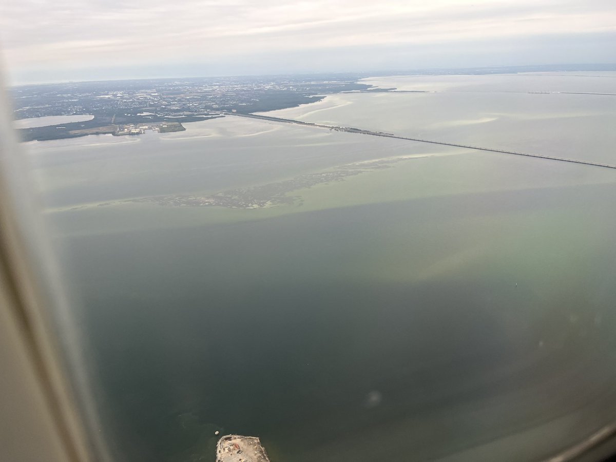 Taylor C tweet media