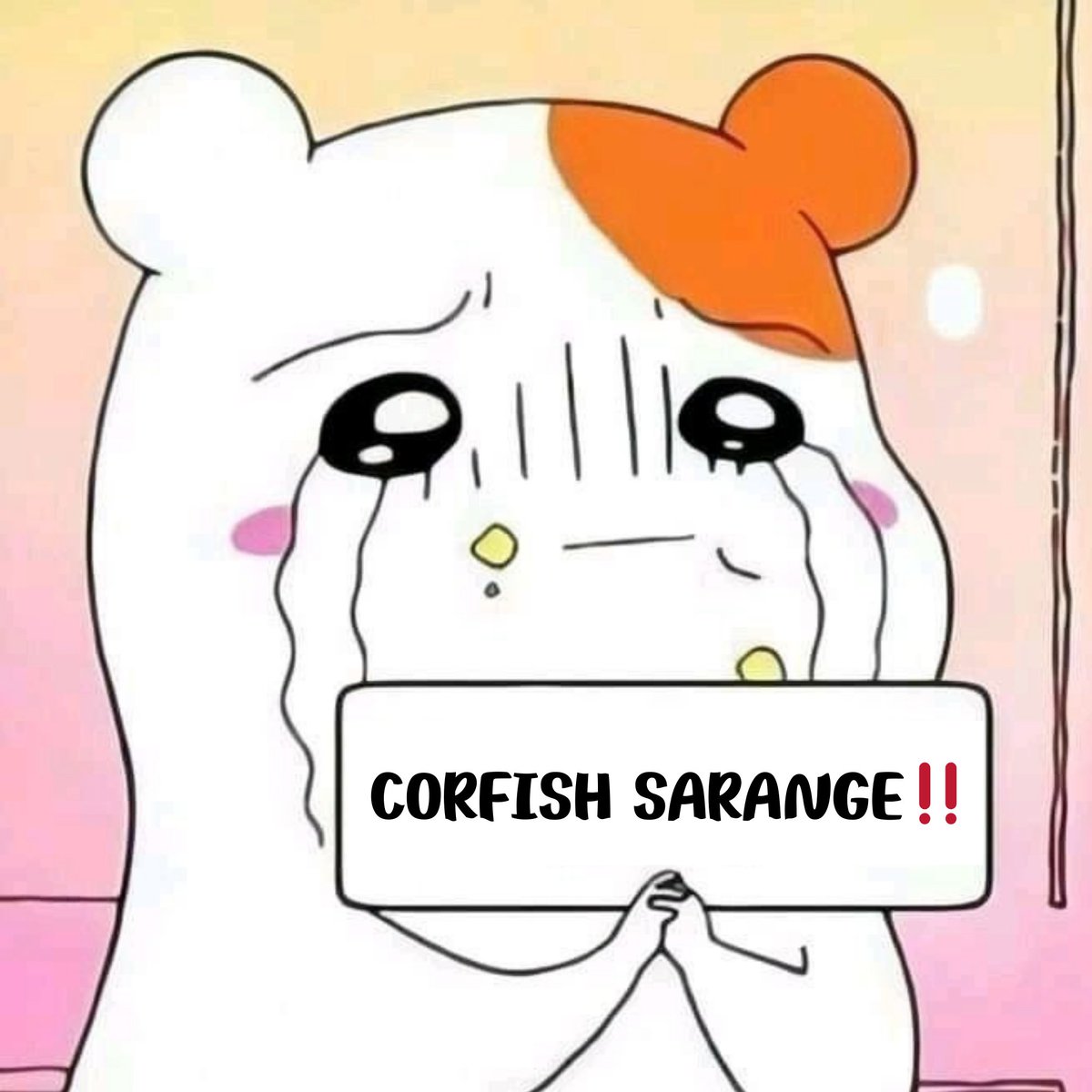 TaeIn (2005) tweet media