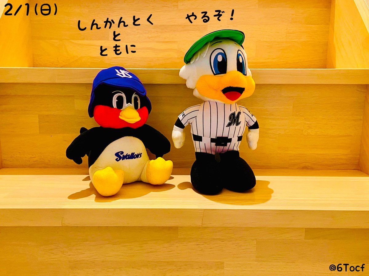 ただの野球好き