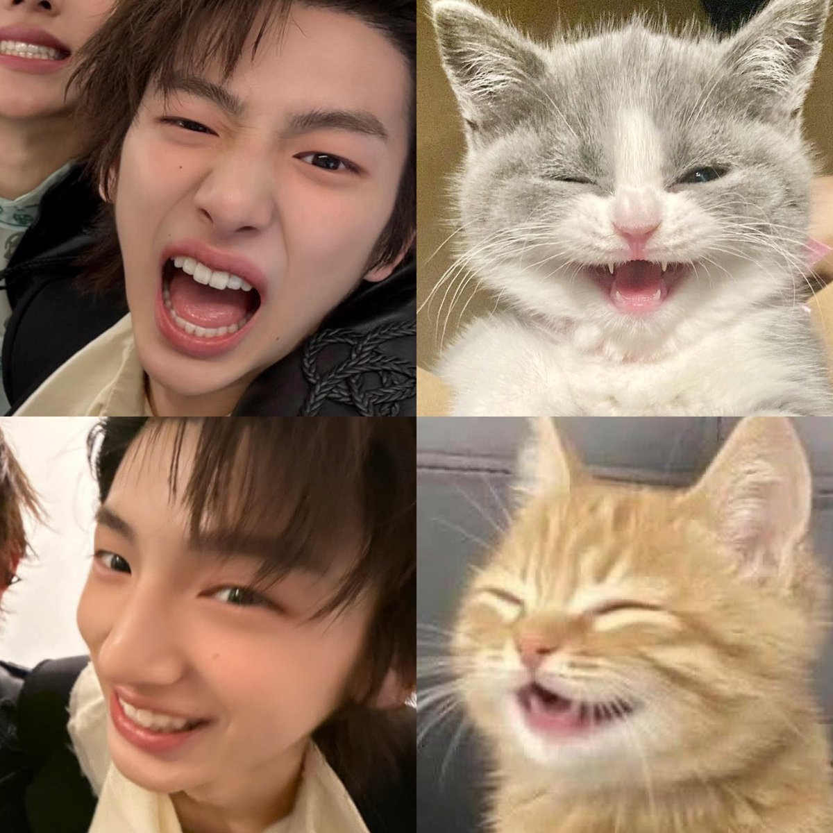 เหมียวจูน