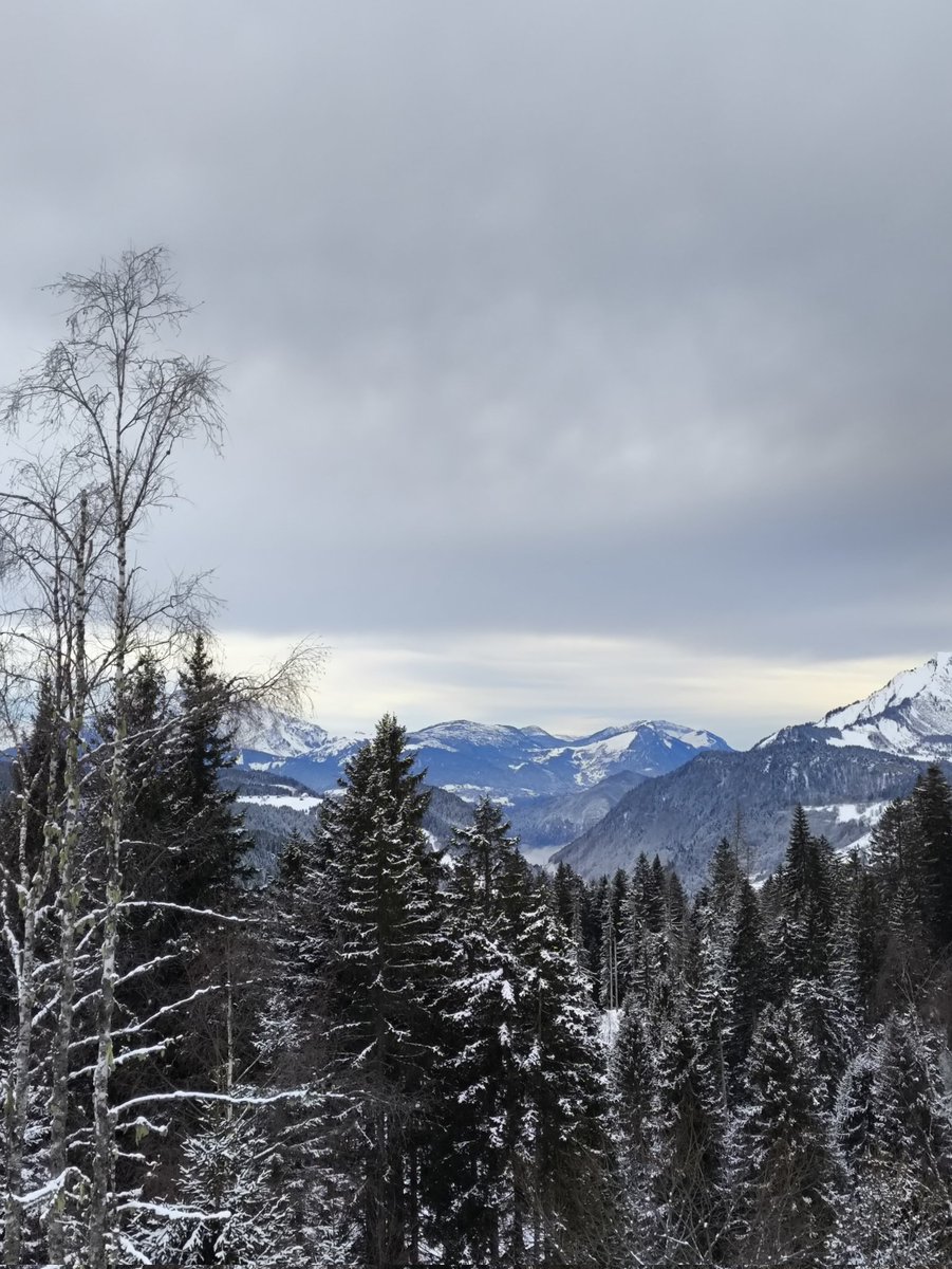 TesniST's tweet photo. One week back from Morzine and still completely inspired! Grateful for the experience of skiing alongside friends and family, and for the opportunity to guide those with visual impairments. A reminder of the extraordinary abilities and resilience within adaptive sport! 🤩✨ https://t.co/qdZC0LsbTy
