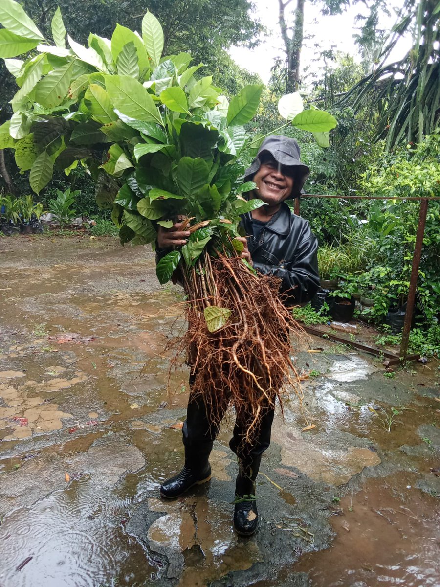 Perjalanan panjang, up and down dan berproses memenuhi tools inisisatif berkelanjutam 

Kopi KALPATARU

Industri Kreatif Desa Konservaei