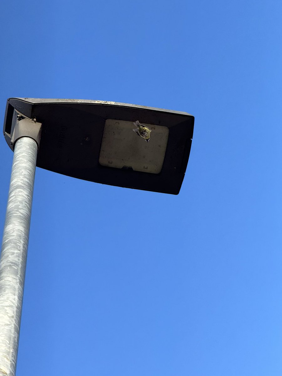 jjmmli's tweet image. Photo Challenge: Look up   

Show us what you see above—sky, trees, architecture, anything.
