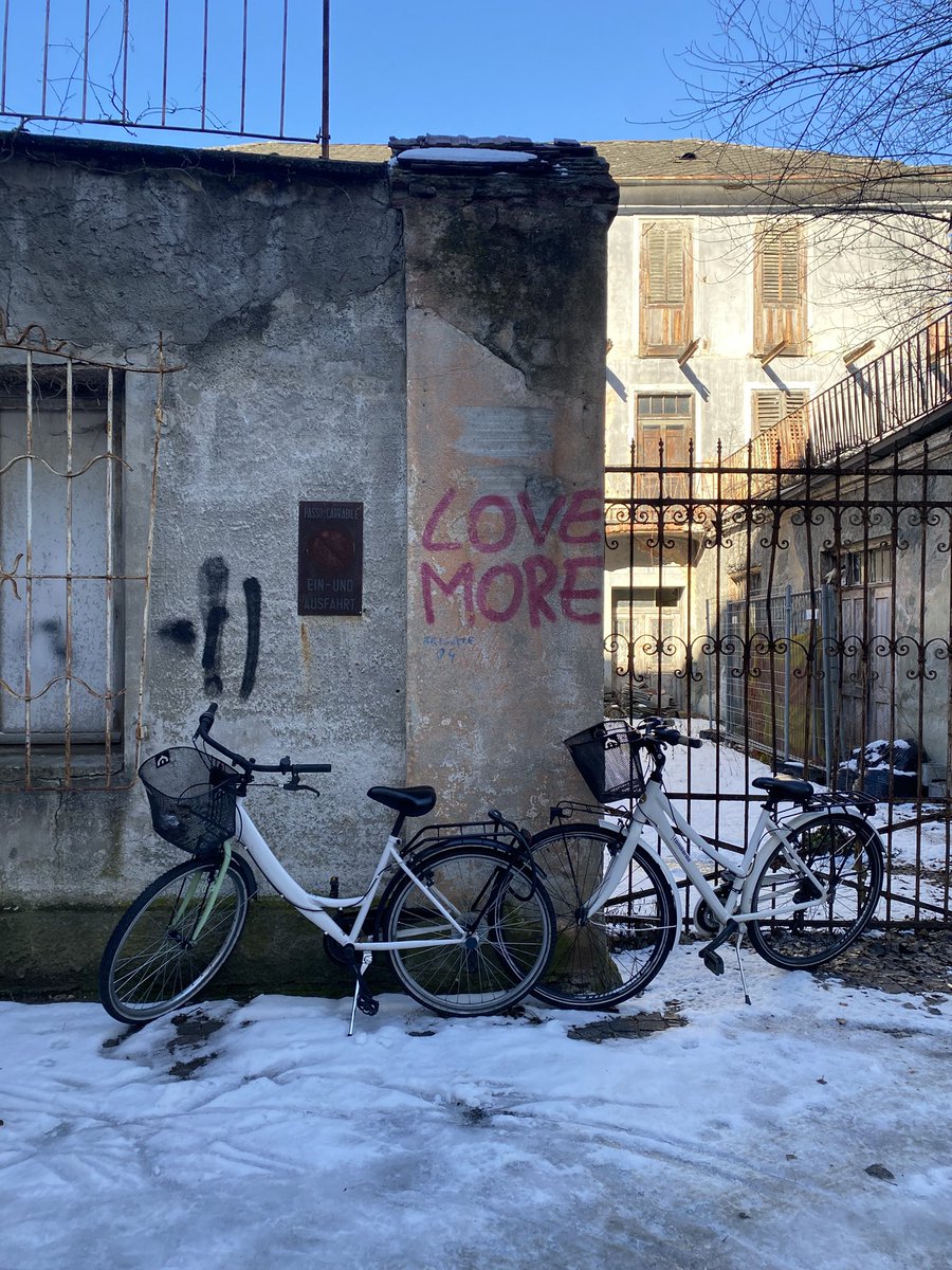 Sonia Zuccaro tweet media