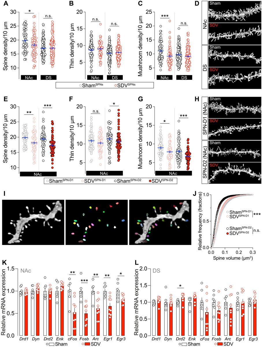 ScienceAdvances's tweet photo. New research involving mice spotlights the vagus nerve’s role in the brain’s dopamine reward pathway. https://t.co/ts1wBaJOpr https://t.co/NkZ17xAGlt