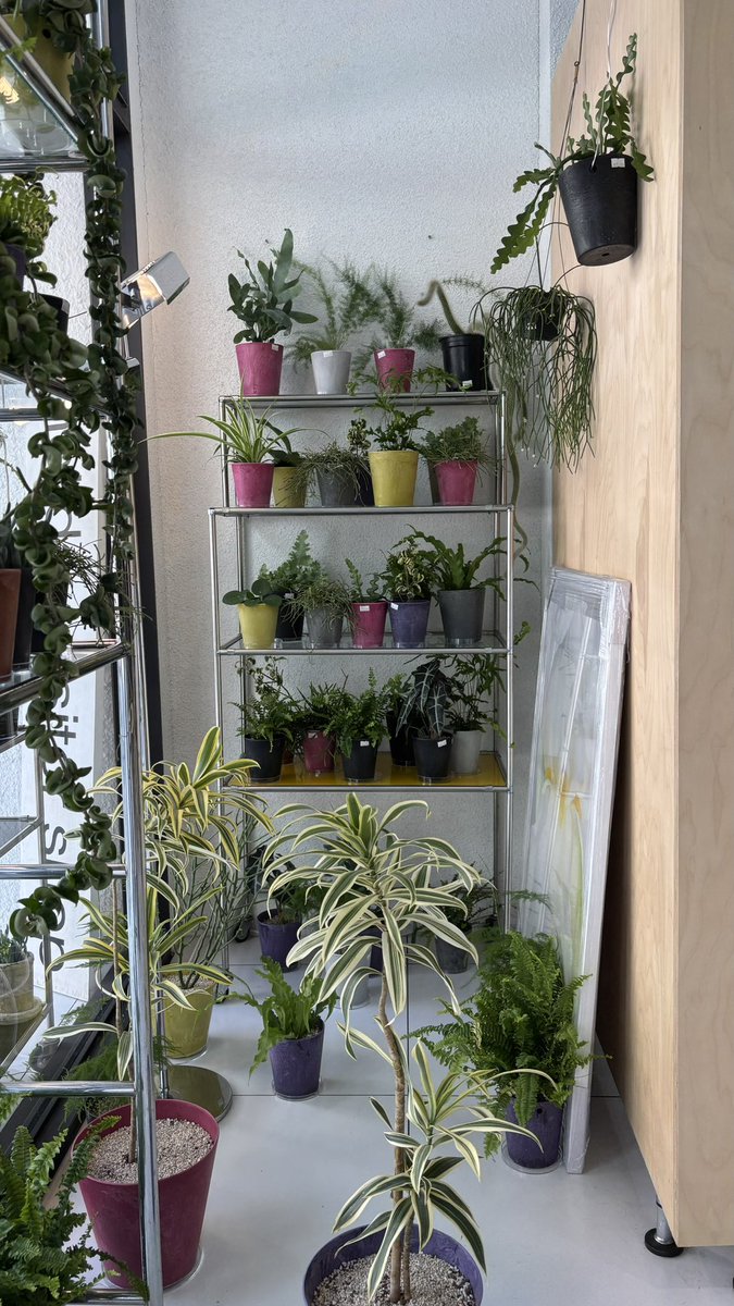 삼성 라이온즈의 도시 대구 진짜 느좋이었다…
냉면시켰는데 구라않이고 뭔냉면을 세숫대야만한곳에다가 담아줌 샤갈 막창도 앙나맛있고 야구도이기고 대구에 벚꽃도 만개하구 아주 너무행복햇더염,, 💙