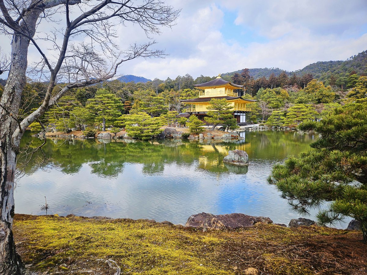Faredahot's tweet photo. Kyoto โอ้โห เมือง vibe ดี มาแล้วชอบบคนละฟิว กับ Osaka https://t.co/ilXdL9Q2MF