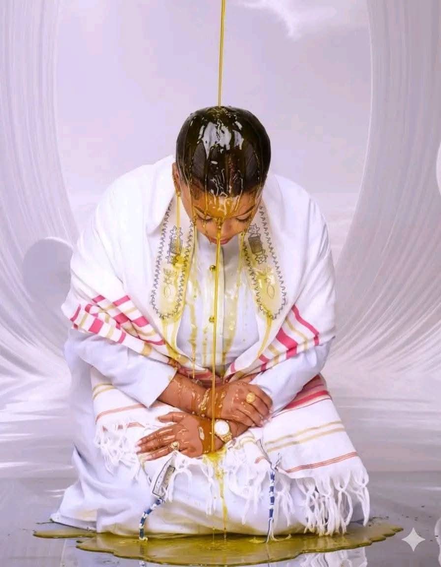 George T. Diano tweet media