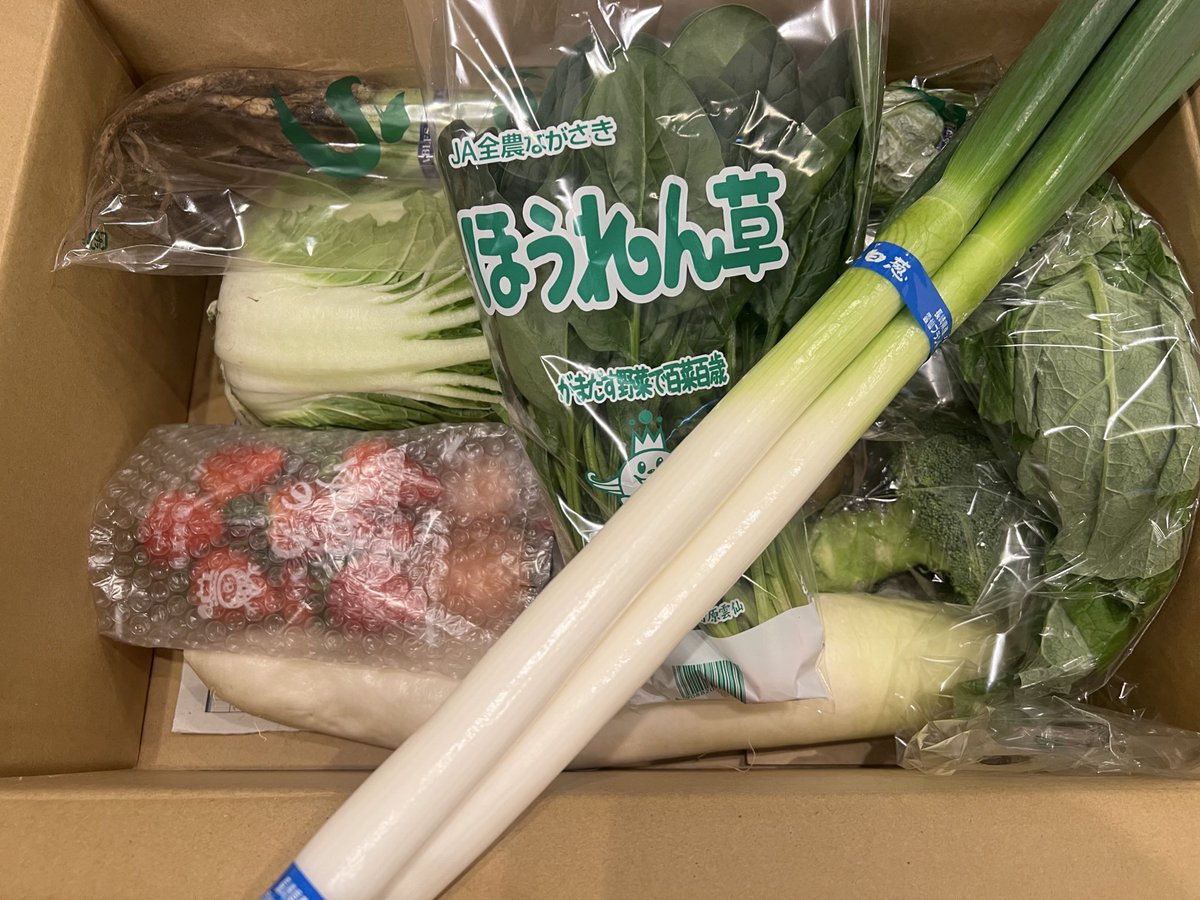 ピーちゃん@お得にまみれたい (@otoku_mamire) / Posts / X