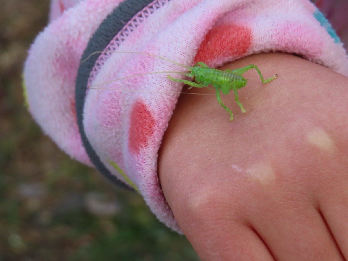 いけす生物部 tweet media