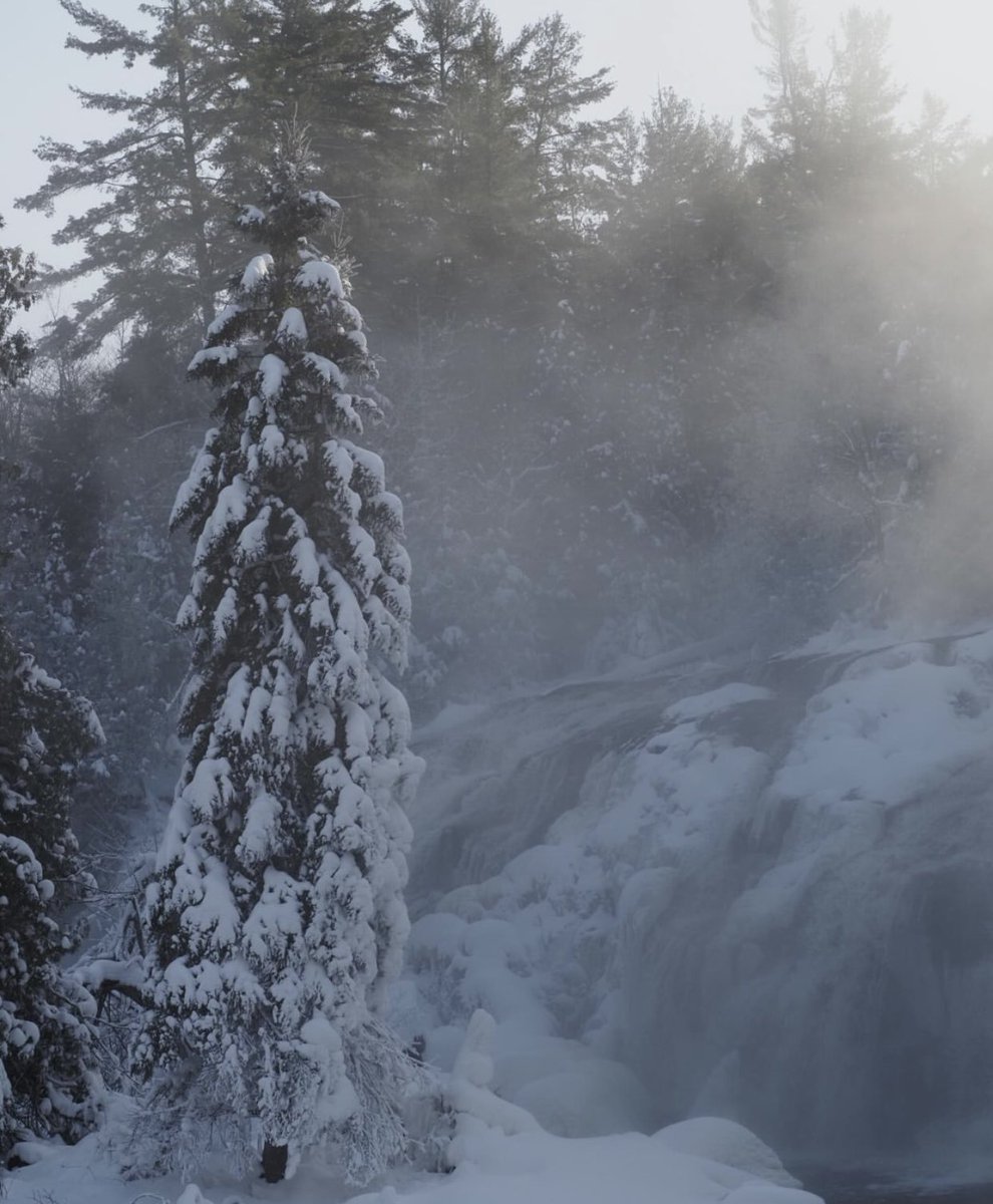 murillohcb's tweet image. 