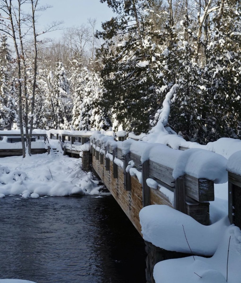 murillohcb's tweet image. 