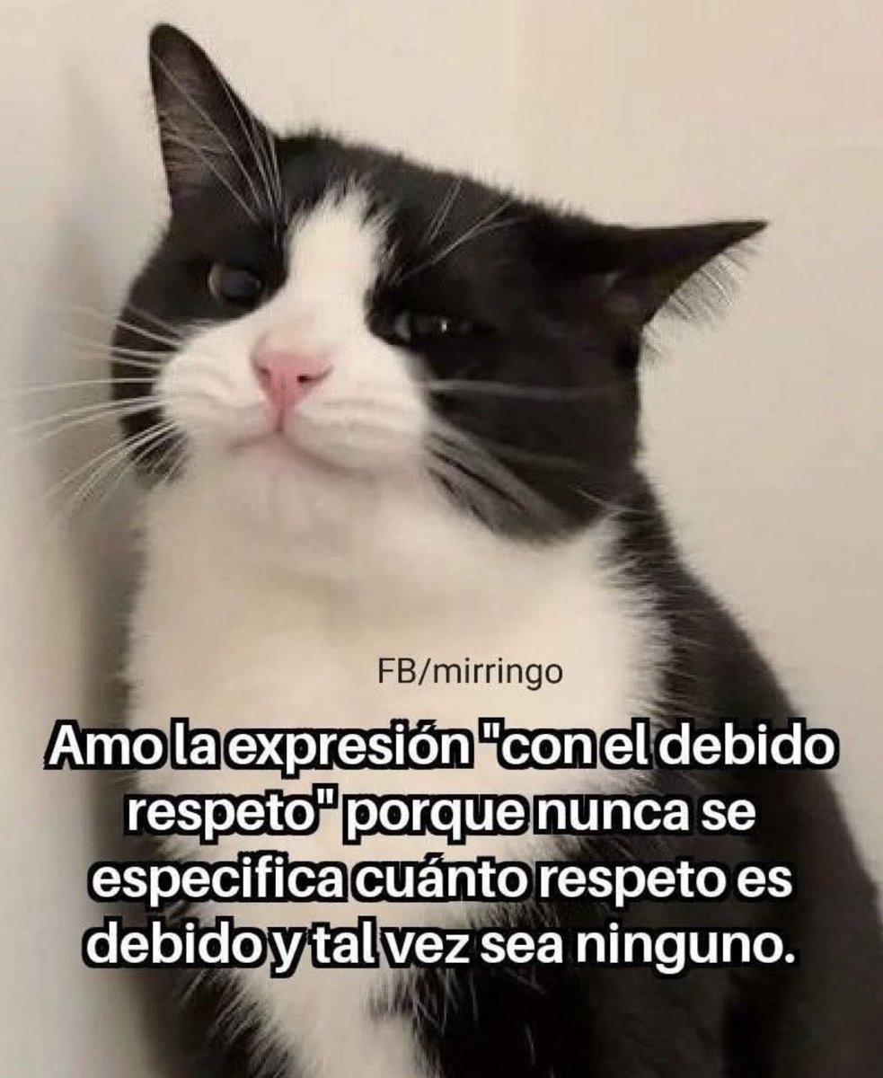 skereunpesado's tweet photo. https://t.co/0idLWymvIZ