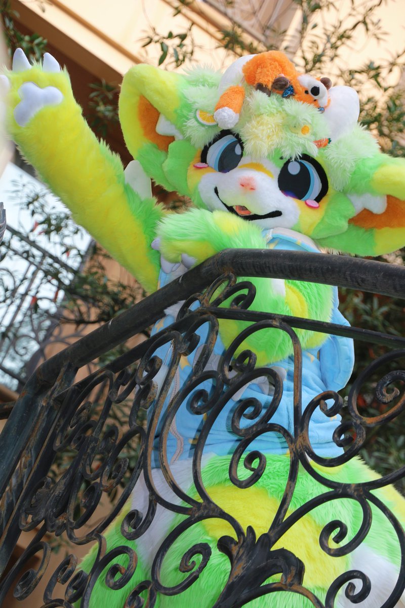 hhhhhhhhhi——！！！

📸<a href="/Yoyun97/">YOYUN</a> 
#FursuitsEveryday 
#fursuit