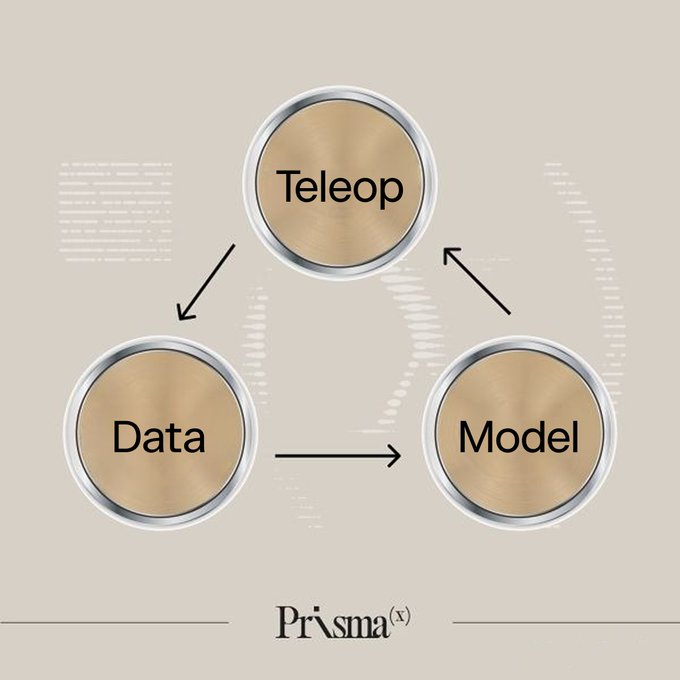 CRX ROLLINS tweet media