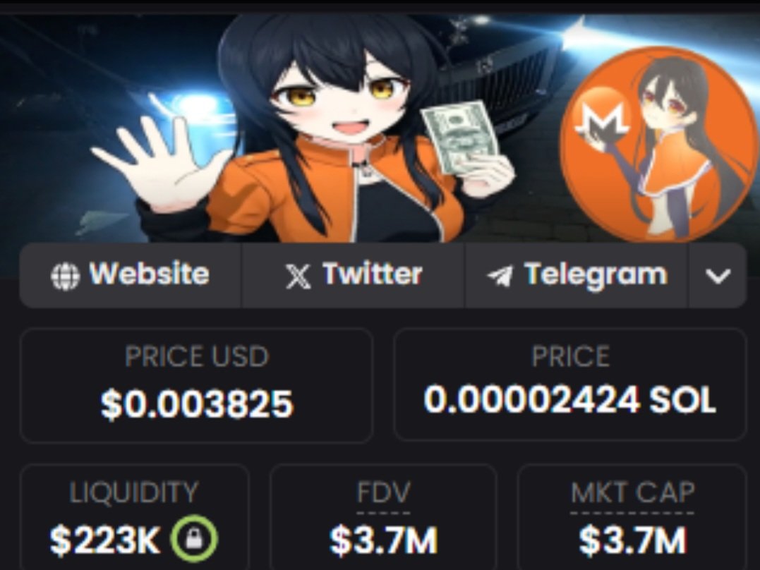 $MONEROCHAN went from $64K to $3.7M market cap — that’s a gain

#Solana #memecoin