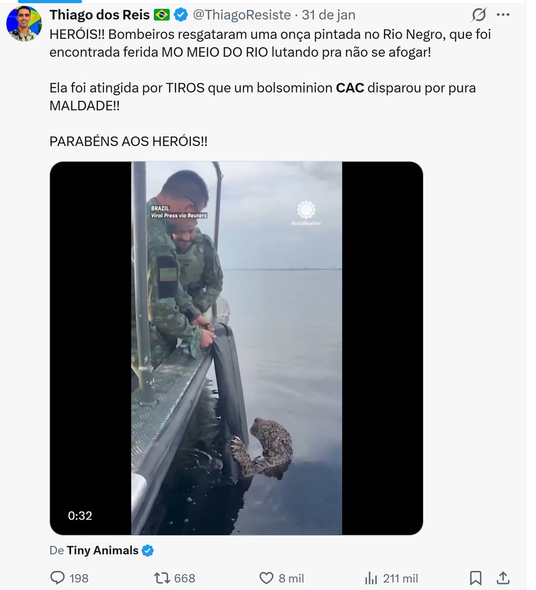 VConveniente's tweet photo. Isso é como fake news funciona: um fato real usado para espalhar mentira política.

Sim, a onça-pintada foi resgatada no Rio Negro.

Sim, ela tinha ferimentos por tiros.
O que NÃO existe é qualquer prova de que um “bolsonarista CAC” tenha feito isso — muito menos “por pura maldade”.

Essa parte foi inventada.
Nenhuma autoridade apontou autor, motivação ou vínculo político. Nenhuma investigação confirmou isso.

O resto é militância disfarçada de indignação.
É assim que se cria ódio:
pega-se um crime ambiental real e se cola um rótulo político sem prova nenhuma.

Defender animais é justo.
Mentir para atacar adversários políticos não é.

Cuidado com quem transforma tragédia em panfleto.