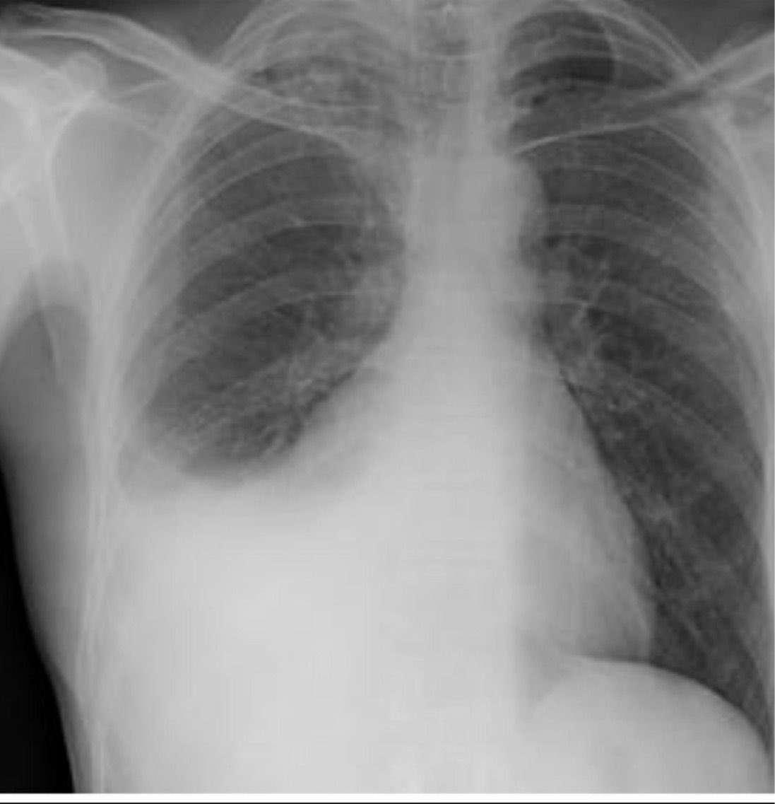 Medical Students in Saudi Arabia. MSSA tweet media