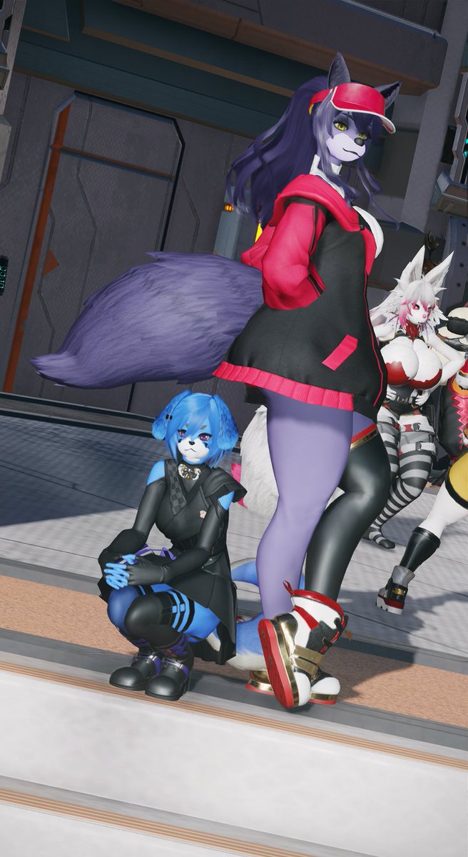 Motoko Cat tweet media