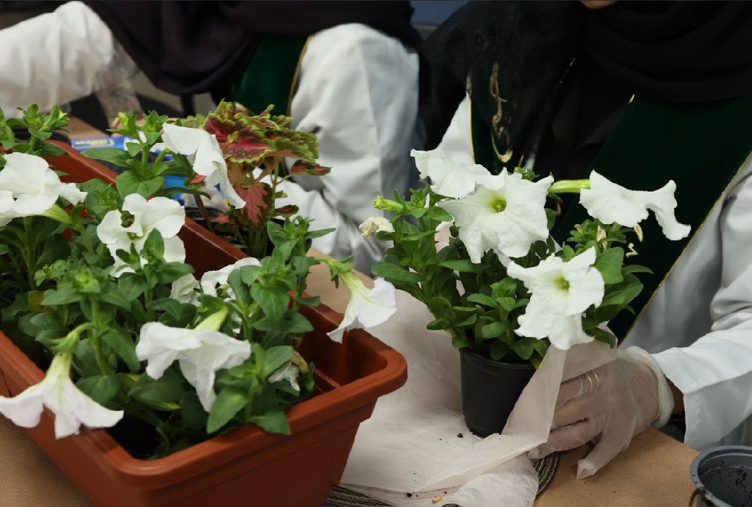 جَنى tweet media