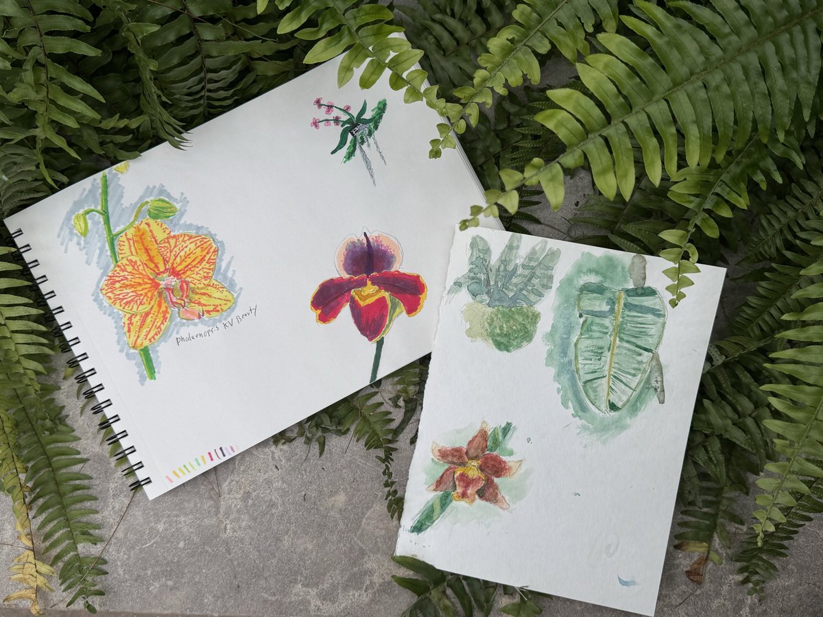 PygmiStudio tweet media