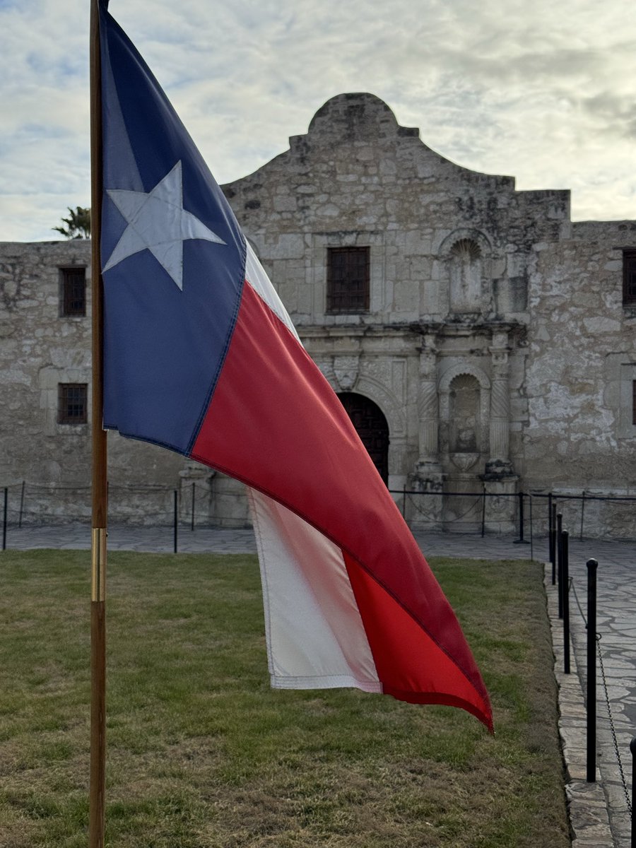 Leah Heerema, MSLT tweet media