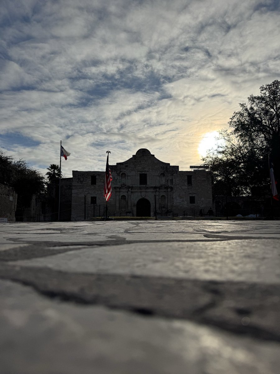 Leah Heerema, MSLT tweet media