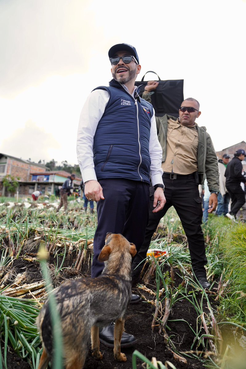 elReneJimenez's tweet image. Hay que ser muy showcero para tener que ponerse guardaespalda en un cultivo de cebolla.