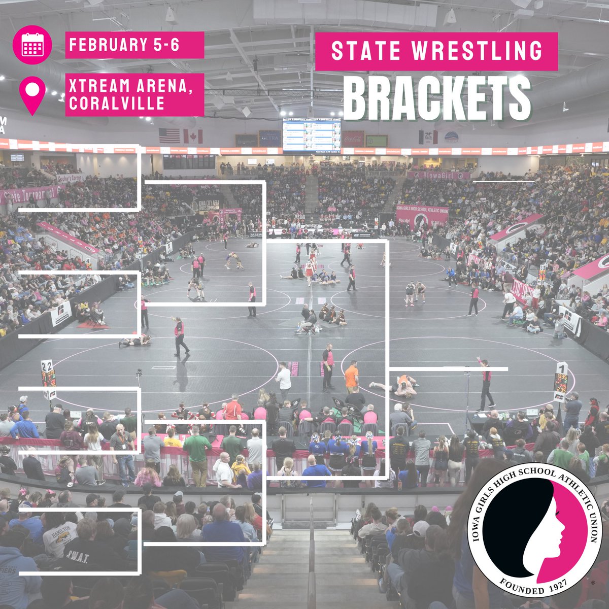 IGHSAU tweet media