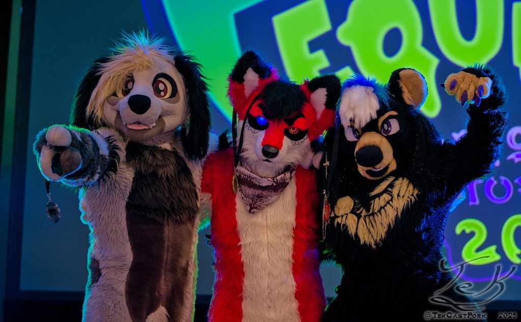 FurnalEquinox's tweet photo. Looking for a chance to showcase your epic moonwalking skills across the stage this year?🕺🌕

Applications for our 2026 Fursuit Dance Competition are OPEN!!!
→ https://t.co/PR5Jvm5A7e 

📷: @tekcastpork https://t.co/WdvKYYytJI