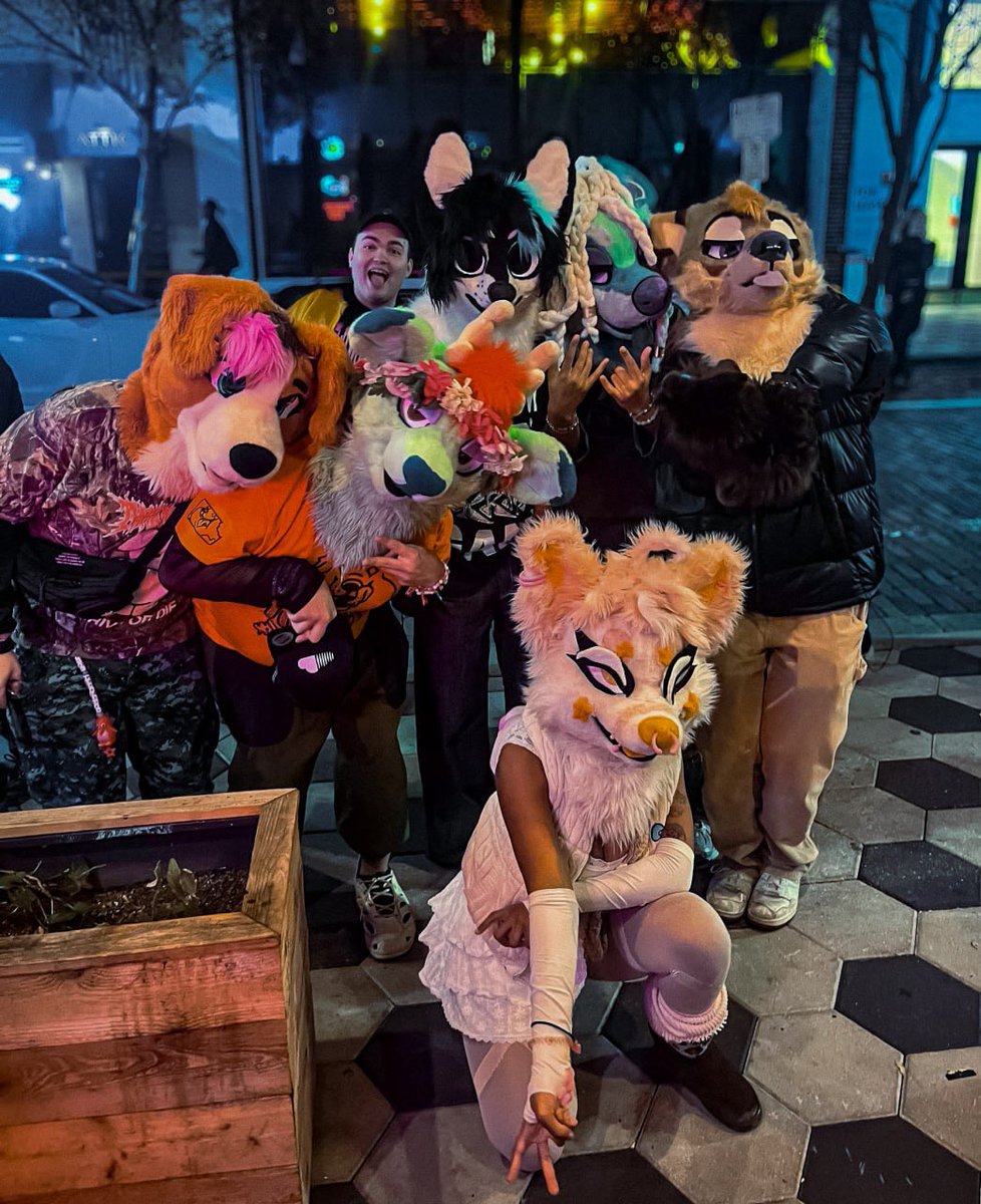 MANG0MAWS's tweet image. Just a bunch of animals