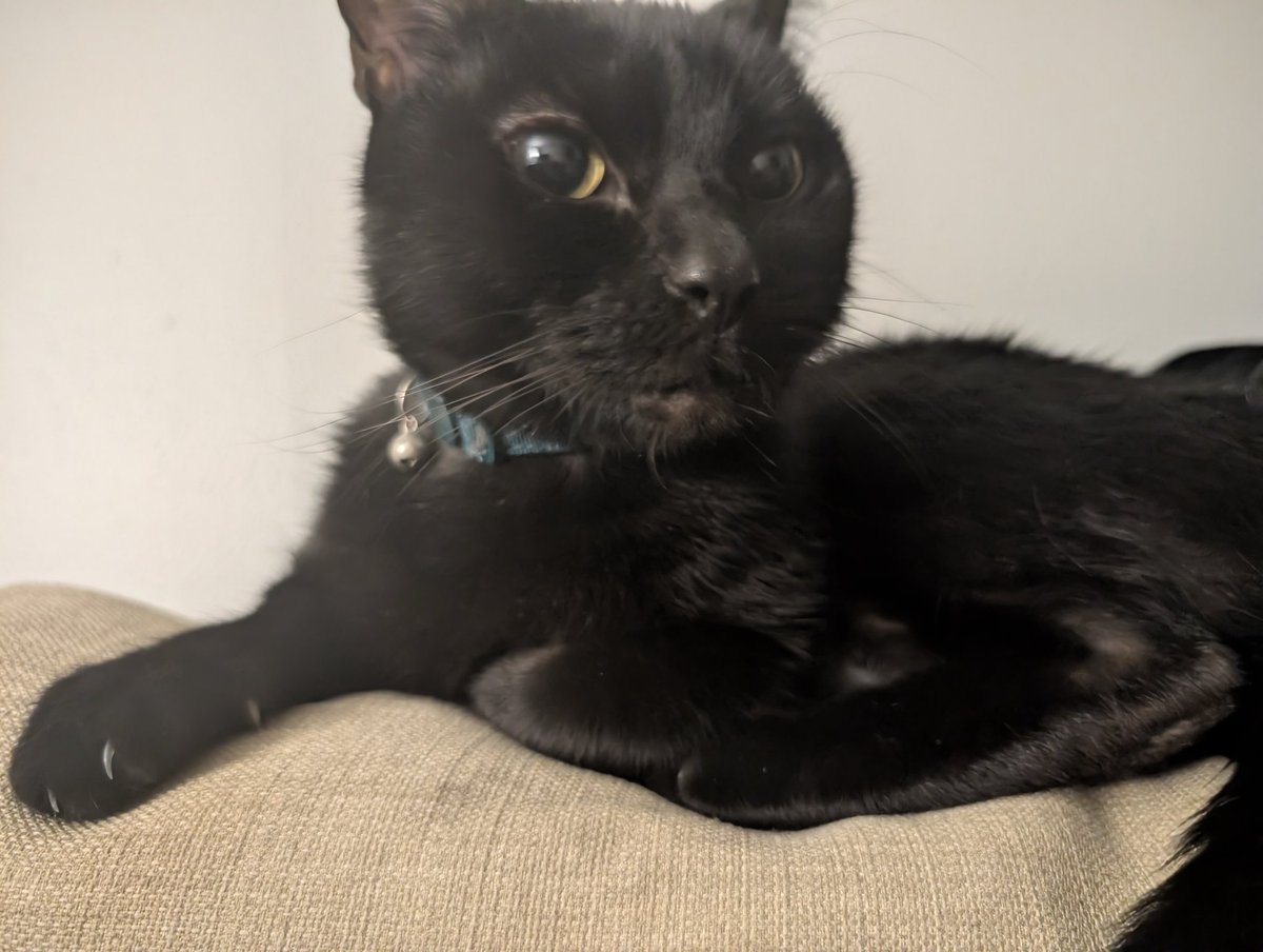 DesiBug7 || Missing ATEEZ🫠🫠 tweet media