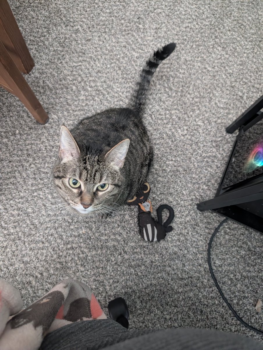 DesiBug7 || Missing ATEEZ🫠🫠 tweet media