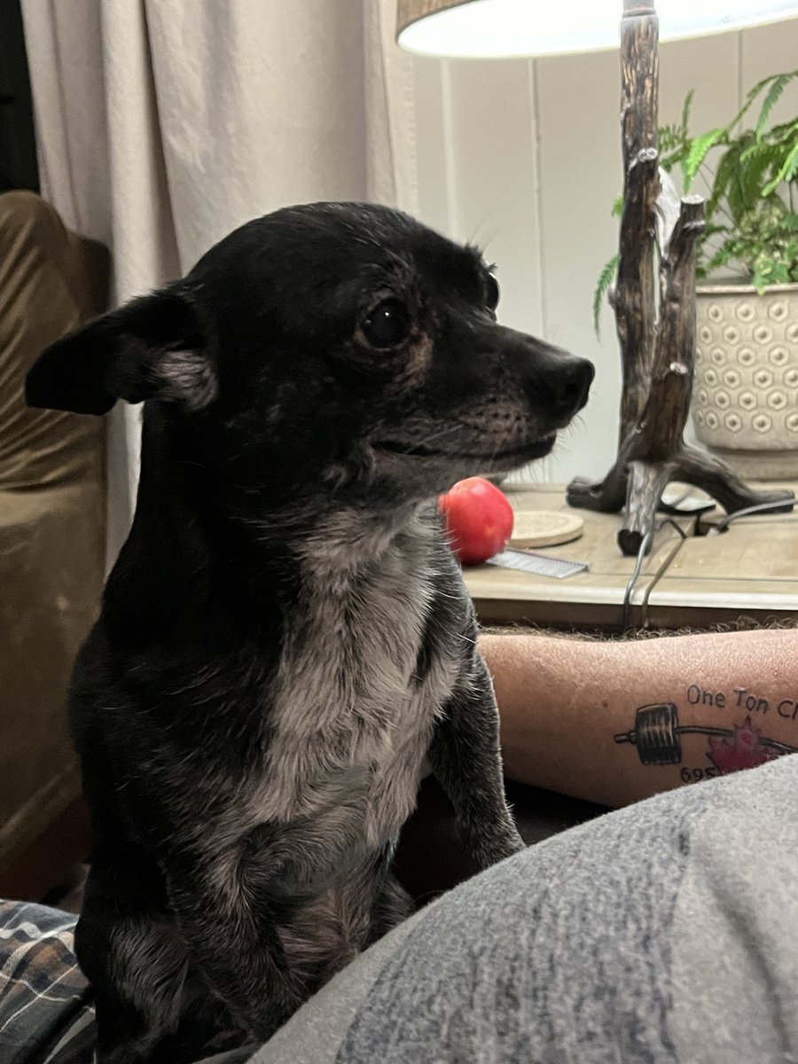 When he hit you with this face, it over.