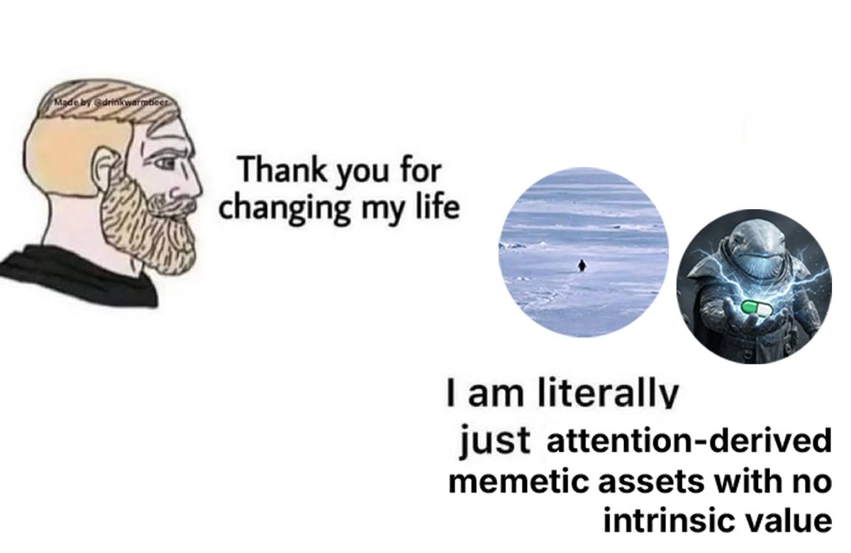 good morning to all the attention-derived memetic assets with no intrinsic value enjoyers 

we shall conquer the world.