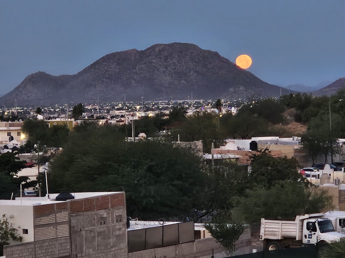 infectol's tweet photo. Luna llena al amanecer 1 febrero 2026 
#Hermosillo #Sonora #LunaLlena https://t.co/dxhWRibrT2