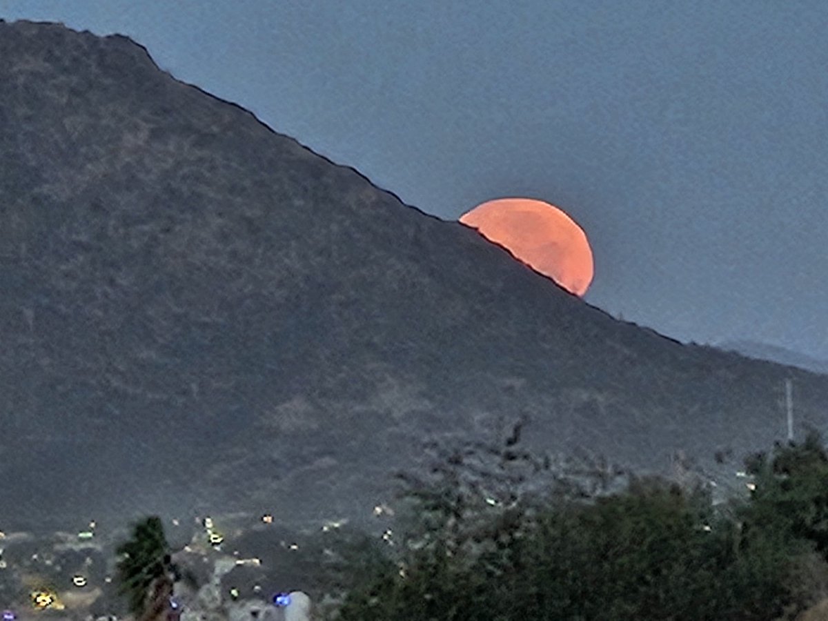 infectol's tweet photo. Luna llena al amanecer 1 febrero 2026 
#Hermosillo #Sonora #LunaLlena https://t.co/dxhWRibrT2