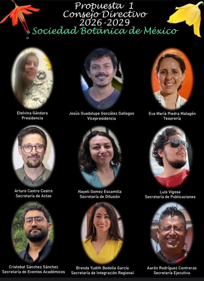 Sociedad Botánica de México tweet media