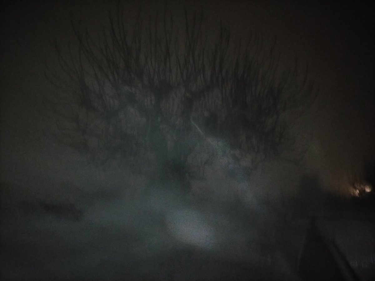 Con rami spogli
l’albero nella nebbia —
Spettro d’inverno.

#haiku #haikuwriter #haikupoetry #micropoesia #scritturebrevi