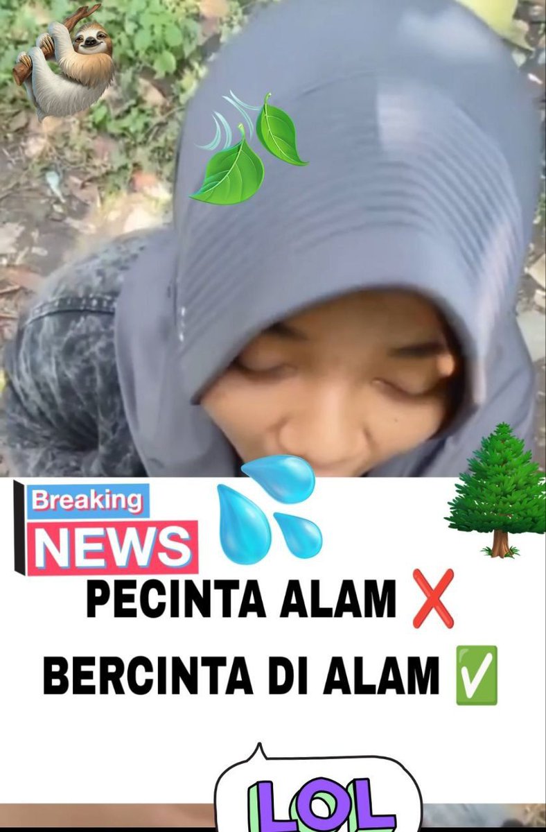 bafflews's tweet image. 