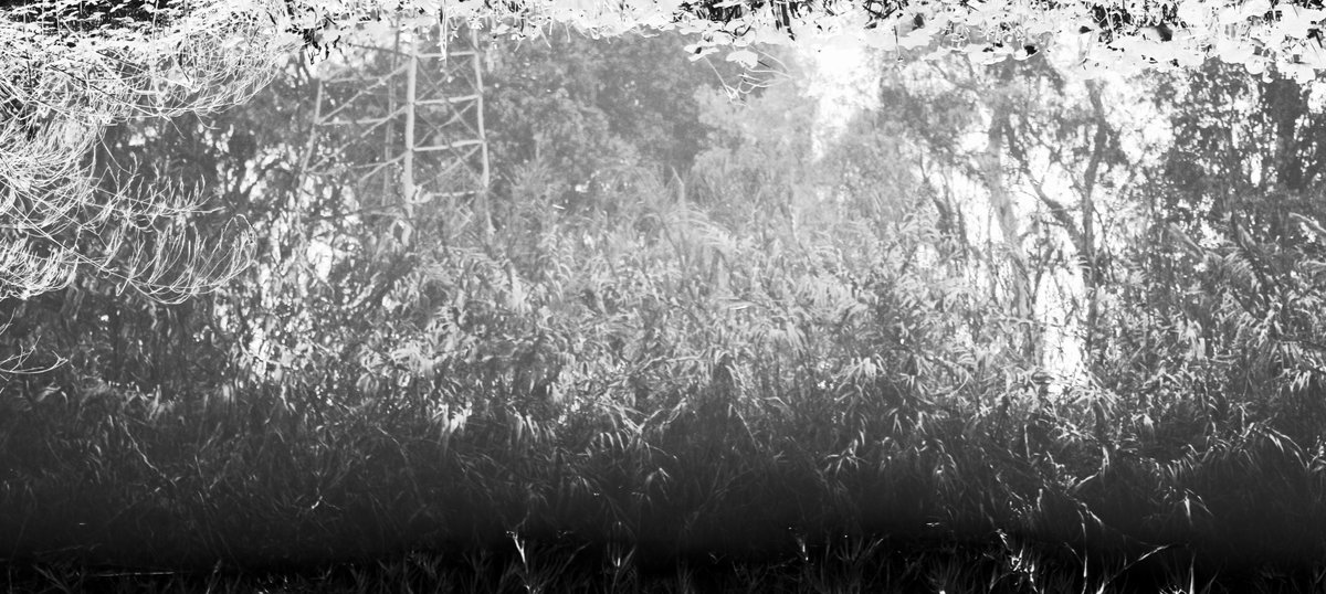 #photography #blackandwhite