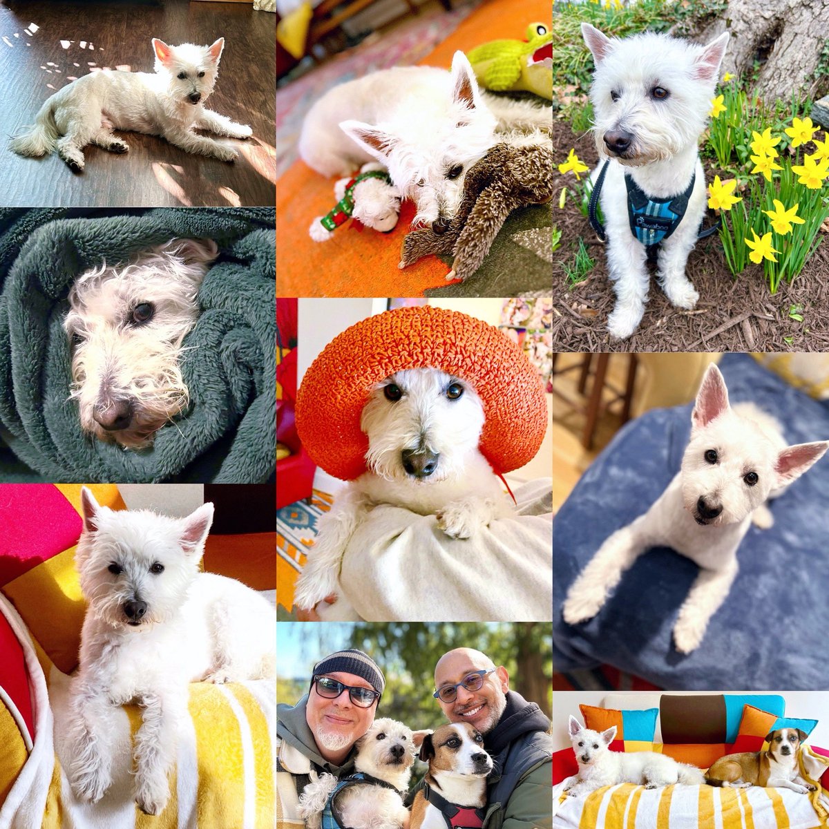 Rick Hammerly tweet media